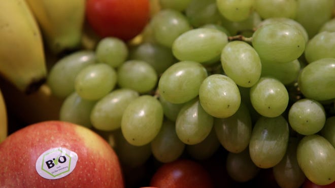 organic fruits .jpg